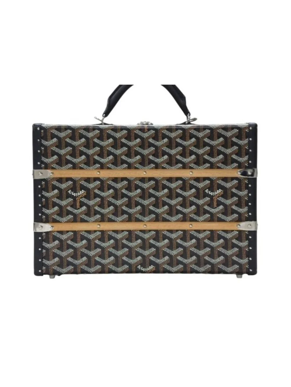 Goyard Pallas MM Trunk Bag Black Leather